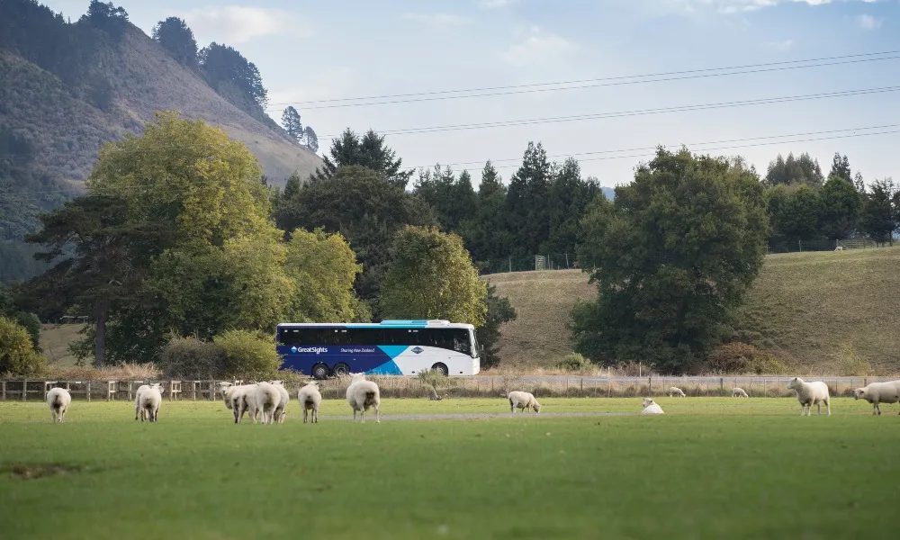 Hobbiton Movie Set Tour | Everything New Zealand-4