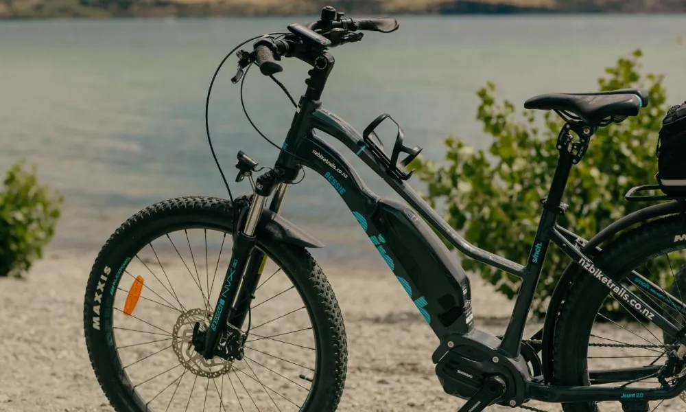 Lake Hawea to Wanaka Bike Hire & Shuttle | Everything New Zealand-2