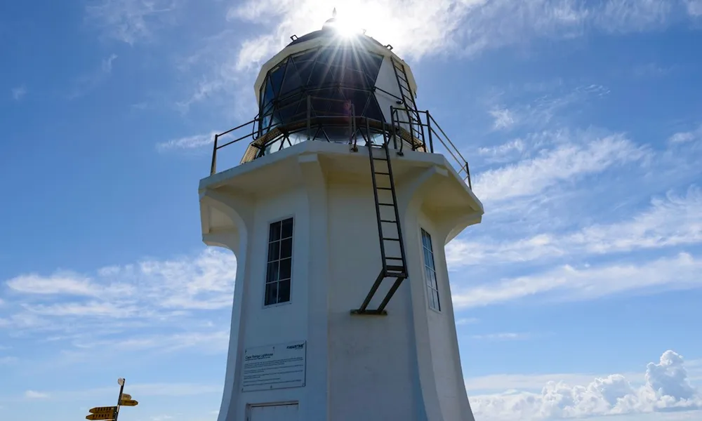 Cape Reinga & 90 Mile Beach Tour  | Everything New Zealand-4