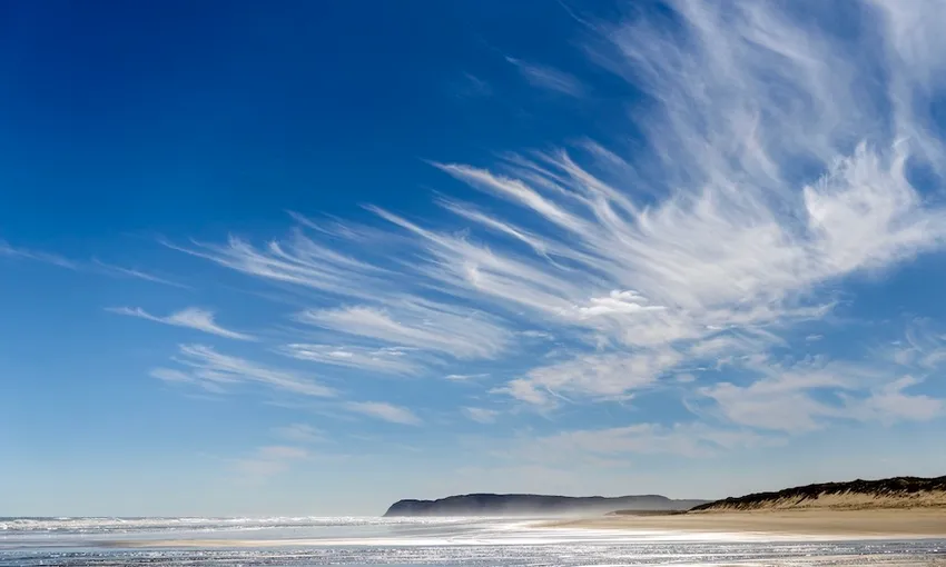 Cape Reinga & 90 Mile Beach Tour  | Everything New Zealand