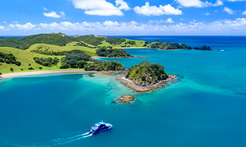 Cream Trip Bay of Islands Tour | Everything New Zealand
