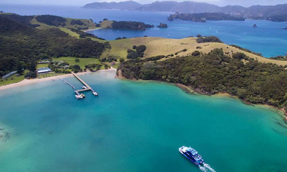 Cream Trip Bay of Islands Tour | Everything New Zealand-5