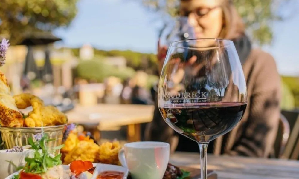 Wine Tour | Taste Of Waiheke | Ferry Travel, Auckland-5