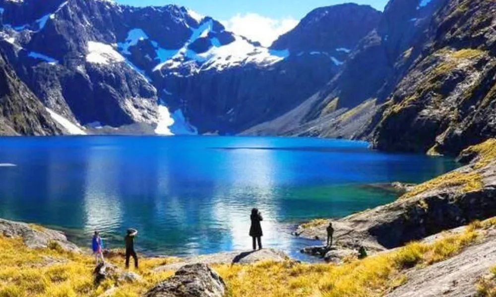 Milford Sound Helicopter Tours, Queenstown | Everything New Zealand-1