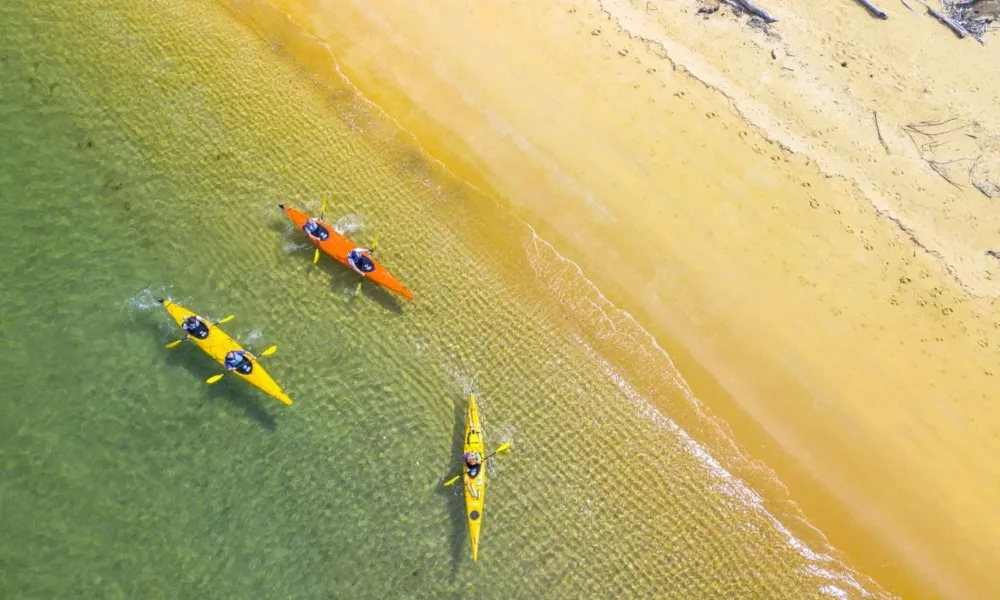 Kaiteriteri Kayak Tours | Kayaking Abel Tasman - Everything New Zealand-5