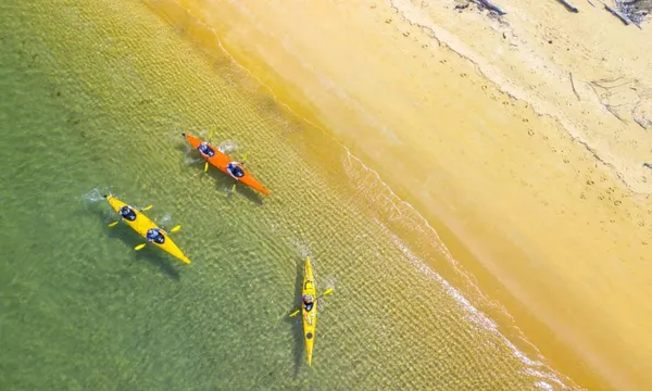 Split Apple Classic Kayaking Tour