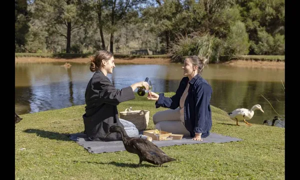 Green Olive Farm Picnic - For 4
