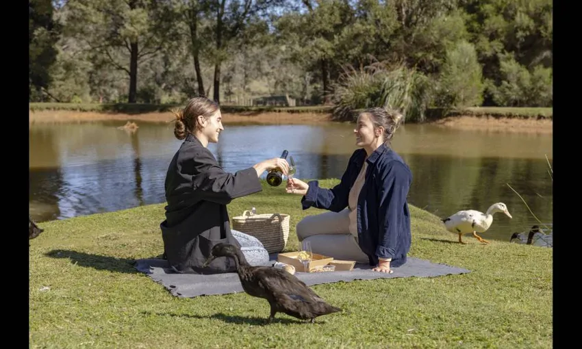 Green Olive Picnic Lunch For 4 - Book Now | Experience Oz