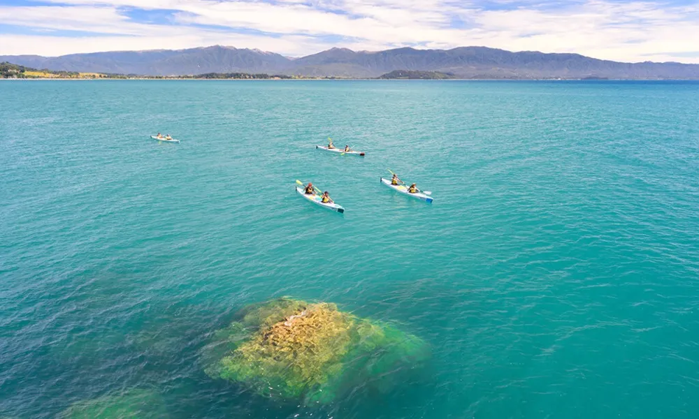 Full Day Golden Bay Freedom Kayak, Abel Tasman | Everything New Zealand-1