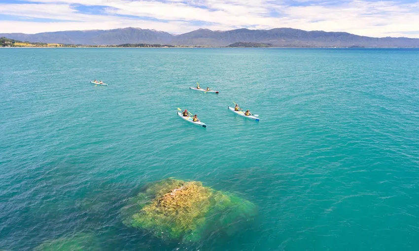 Full Day Golden Bay Freedom Kayak, Abel Tasman | Everything New Zealand