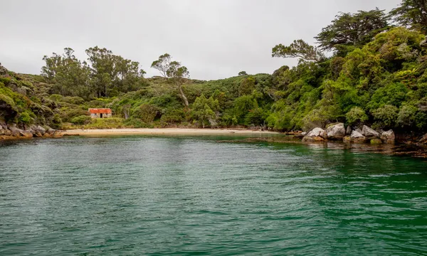 Discover Ulva Island
