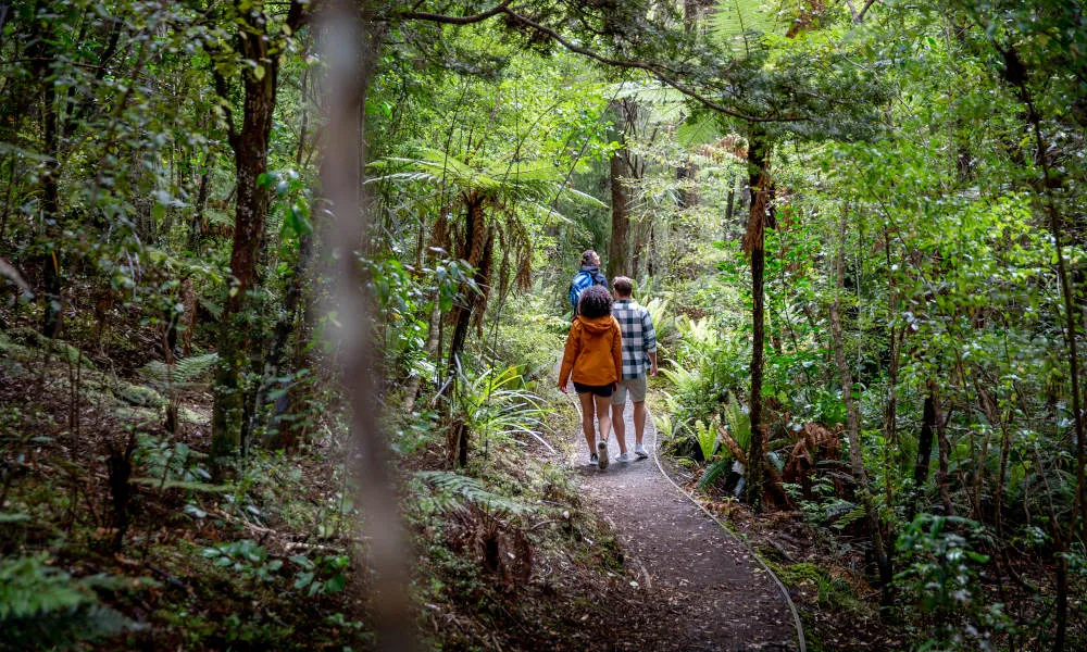 Ulva Island Explorer | Everything New Zealand -4