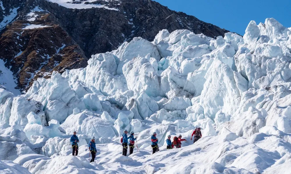 Heli Hike Franz Josef | Everything New Zealand-1