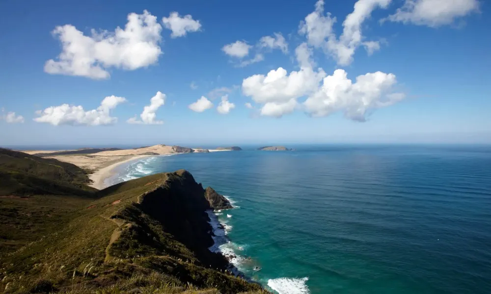 Cape Reinga Scenic Flight & Tour from Bay of Islands | Everything New Zealand-3