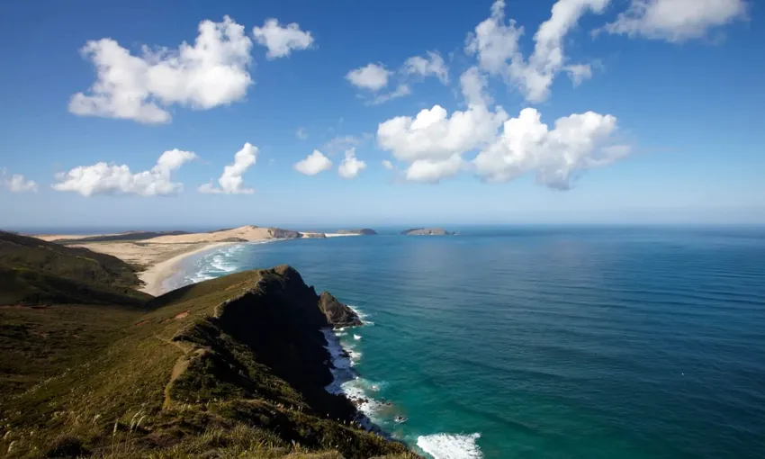 Cape Reinga Scenic Flight & Tour from Bay of Islands | Everything New Zealand