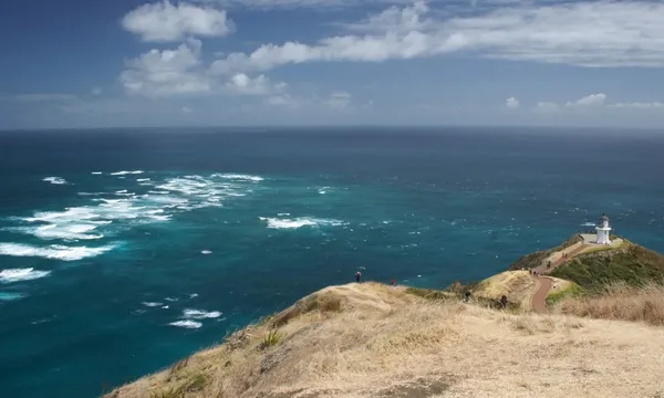 Cape Reinga Scenic Flight & Half Day Tour