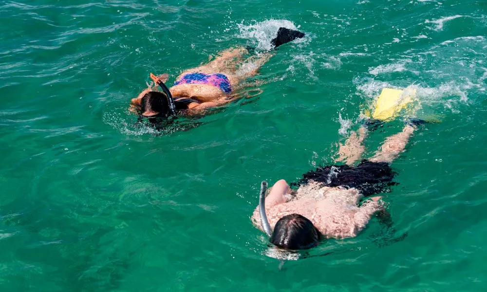 Bay of Island Sailing Trip | Everything New Zealand-3