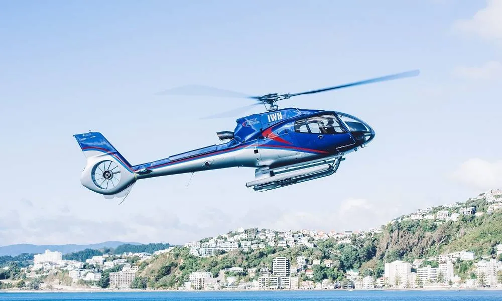 Helicopter Flight - Wellington Scenic Flights | Everything New Zealand-4