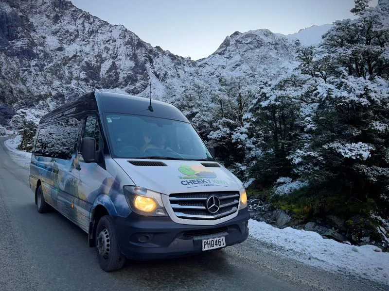 Milford Sound Premium Tour & Cruise from Queenstown | Everything New Zealand-5