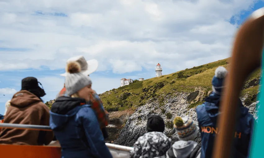 Larnach Castle Tour & Wildlife Cruise in Dunedin | Everything New Zealand