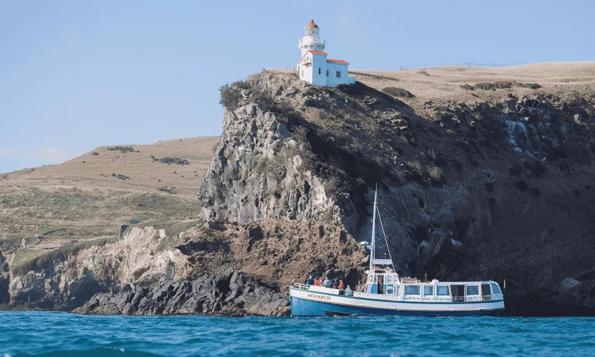 Larnach Castle Tour & Wildlife Cruise in Dunedin | Everything New Zealand