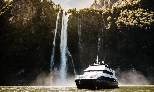 Luxury Milford Sound Lunch Cruise