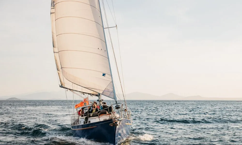 2.5 Hour Taupo Sailing Adventure | Everything New Zealand-6