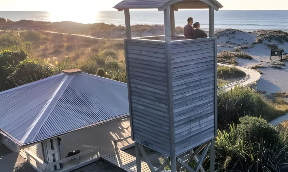 Queenstown to Franz Josef One Way Scenic Transfer | Everything New Zealand-2