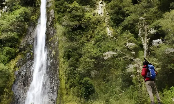 One Way from Queenstown to Franz Josef