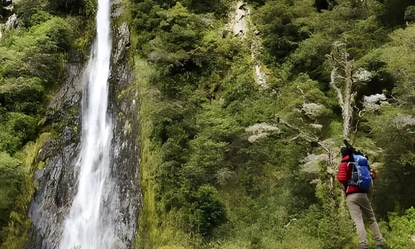 Queenstown to Franz Josef One Way Scenic Transfer | Everything New Zealand