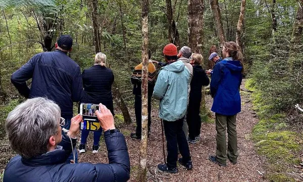 Te Anau historic cruise & walk