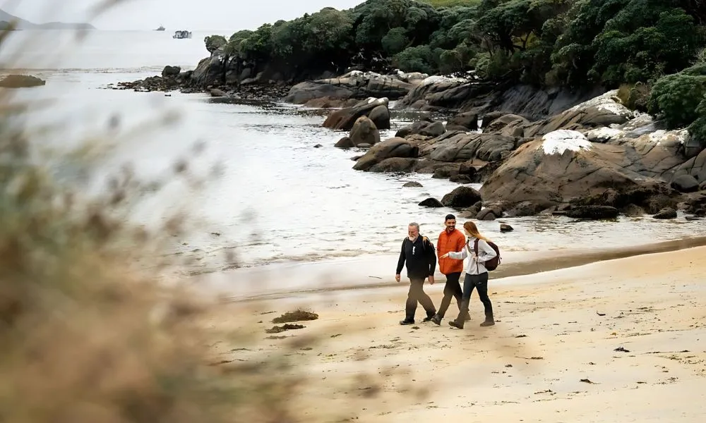 Stewart Island Guided Wilderness Walk | Everything New Zealand-1