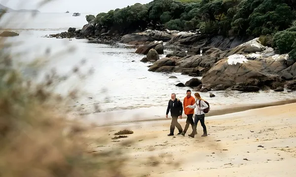 Stewart Island Guided Wilderness Walk
