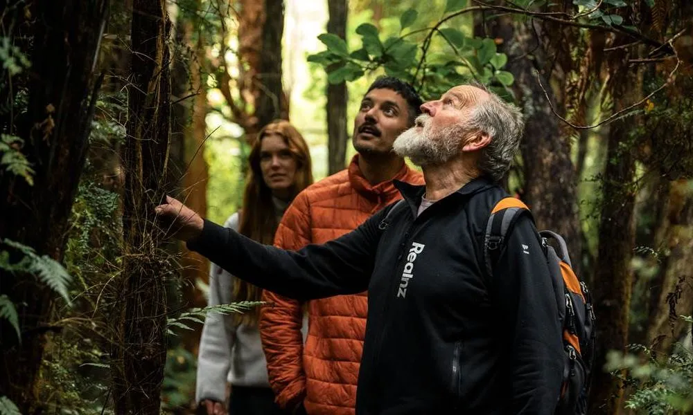 Stewart Island Guided Wilderness Walk | Everything New Zealand-2