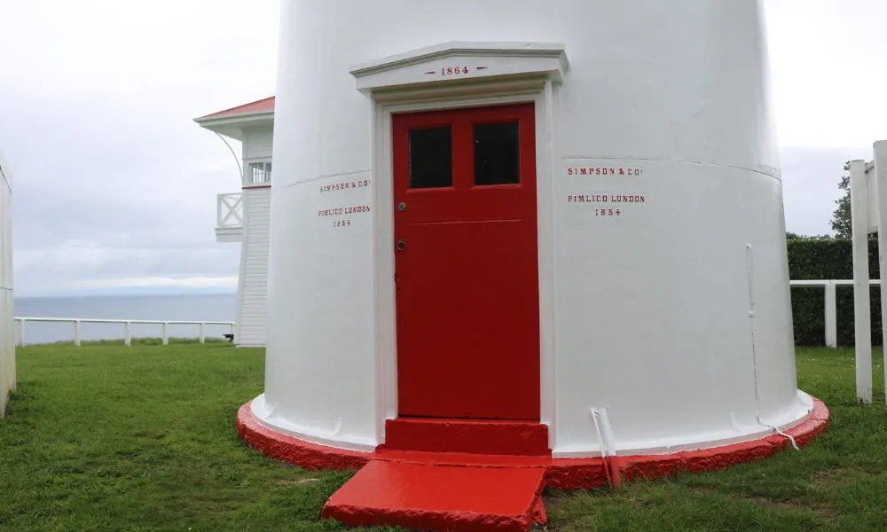 Tiritiri Matangi Island Ferry Auckland | Everything New Zealand-4
