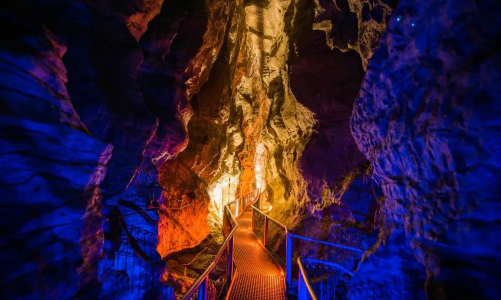 Ruakuri Cave Tour Waitomo | Everything New Zealand-3