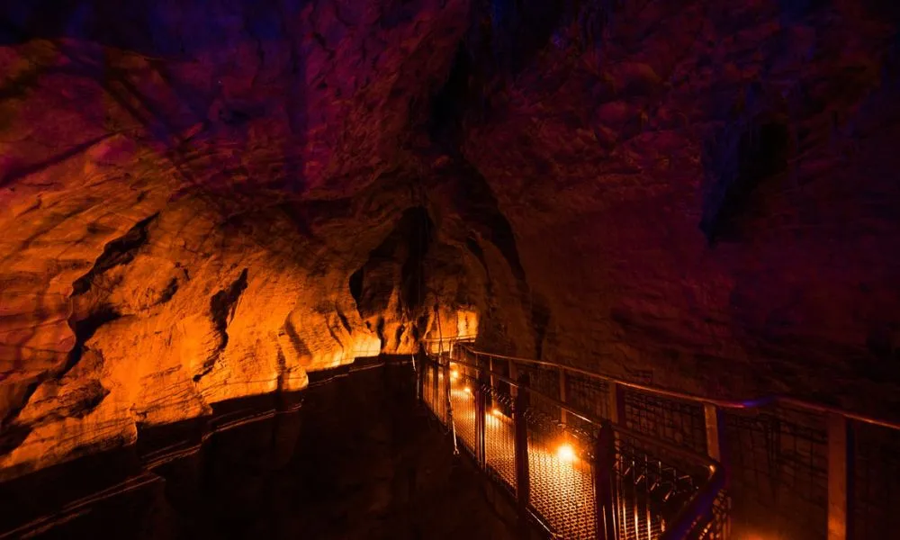 Ruakuri Cave Tour Waitomo | Everything New Zealand-4