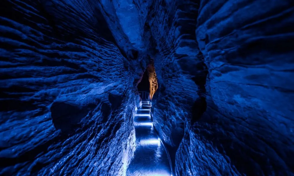 Ruakuri Cave Tour Waitomo | Everything New Zealand-5