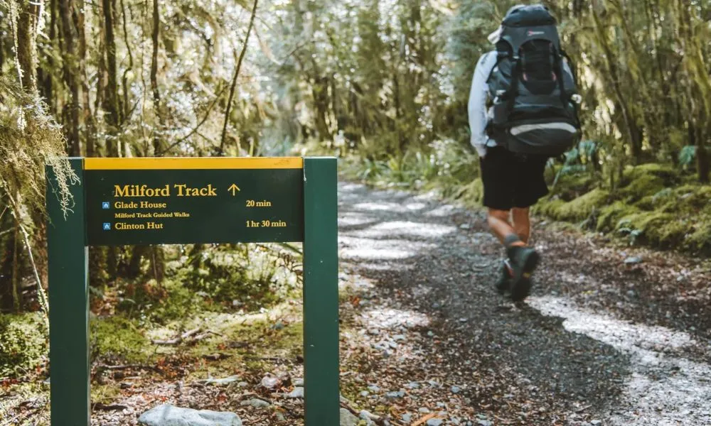 Day Walk & Water Taxi Milford Sound | Everything New Zealand-4