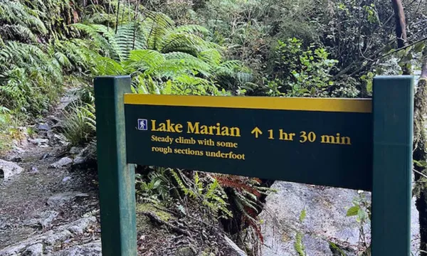 Lake Marian Guided Hike from Te Anau
