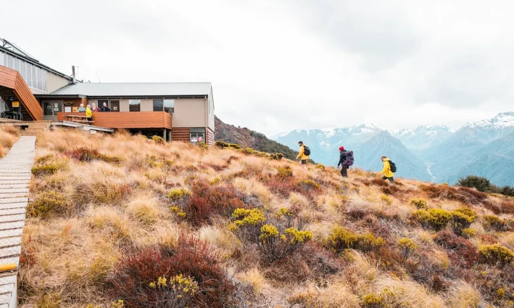 Day Walk & Water Taxi Te Anau | Everything New Zealand-4