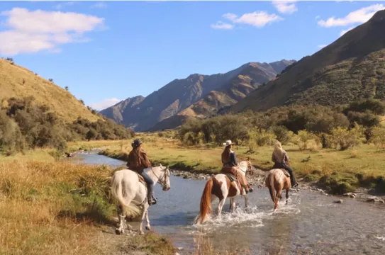 90 Minute Moke Lake Horse Riding Experience