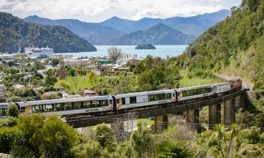 Coastal Pacific Scenic Train Journey  | Everything New Zealand