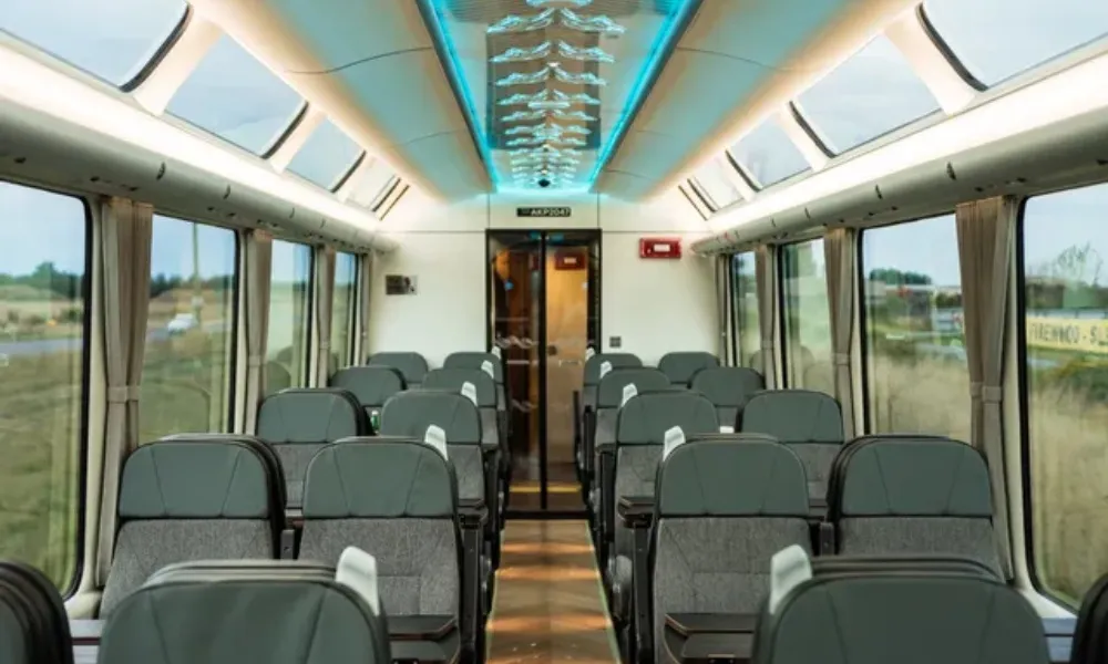 Coastal Pacific Scenic Train Journey  | Everything New Zealand-5