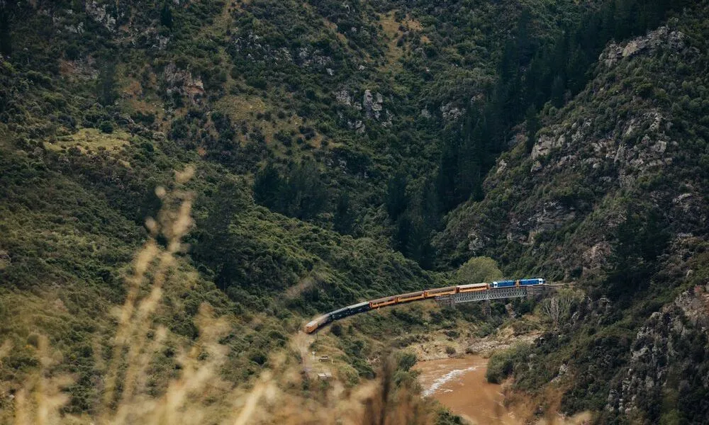 Taieri Gorge Railway from Dunedin  | Everything New Zealand -4