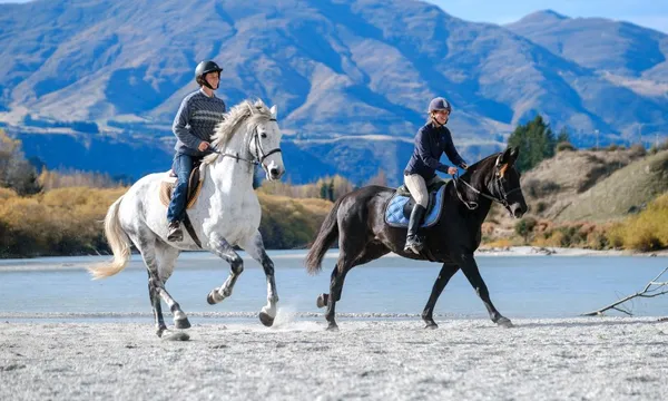 1 hour Shotover River Horse Riding Tour
