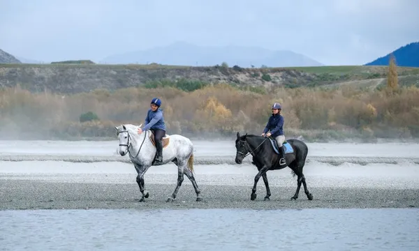 1 hour Shotover River Horse Riding Tour