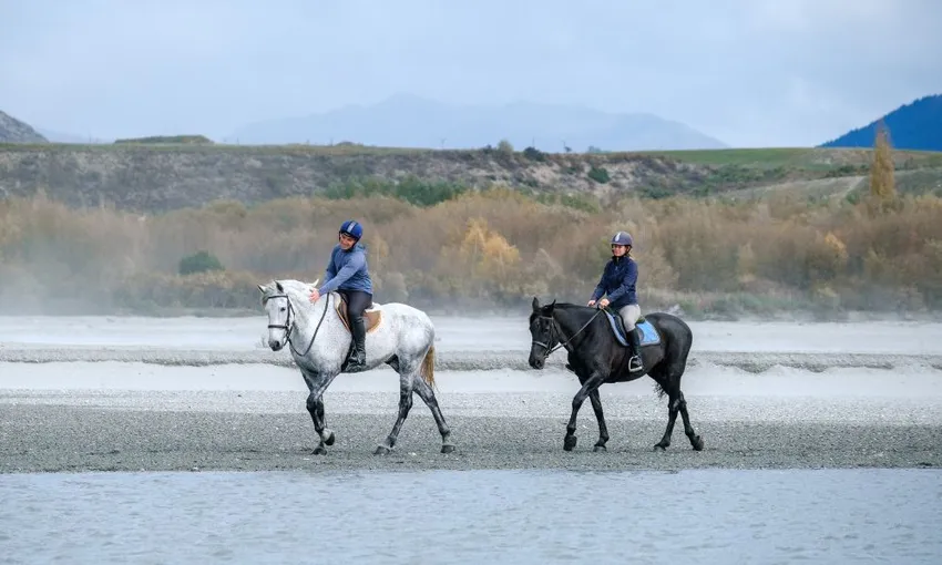  Shotover River Horse Trails | Everything New Zealand