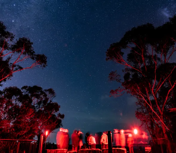 Canberra Guided Stargazing with an Astronomer | Experience Oz