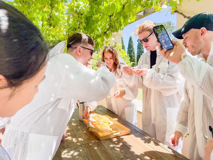 Bowral Honey Harvesting Experience - 90 Minutes | Experience Oz